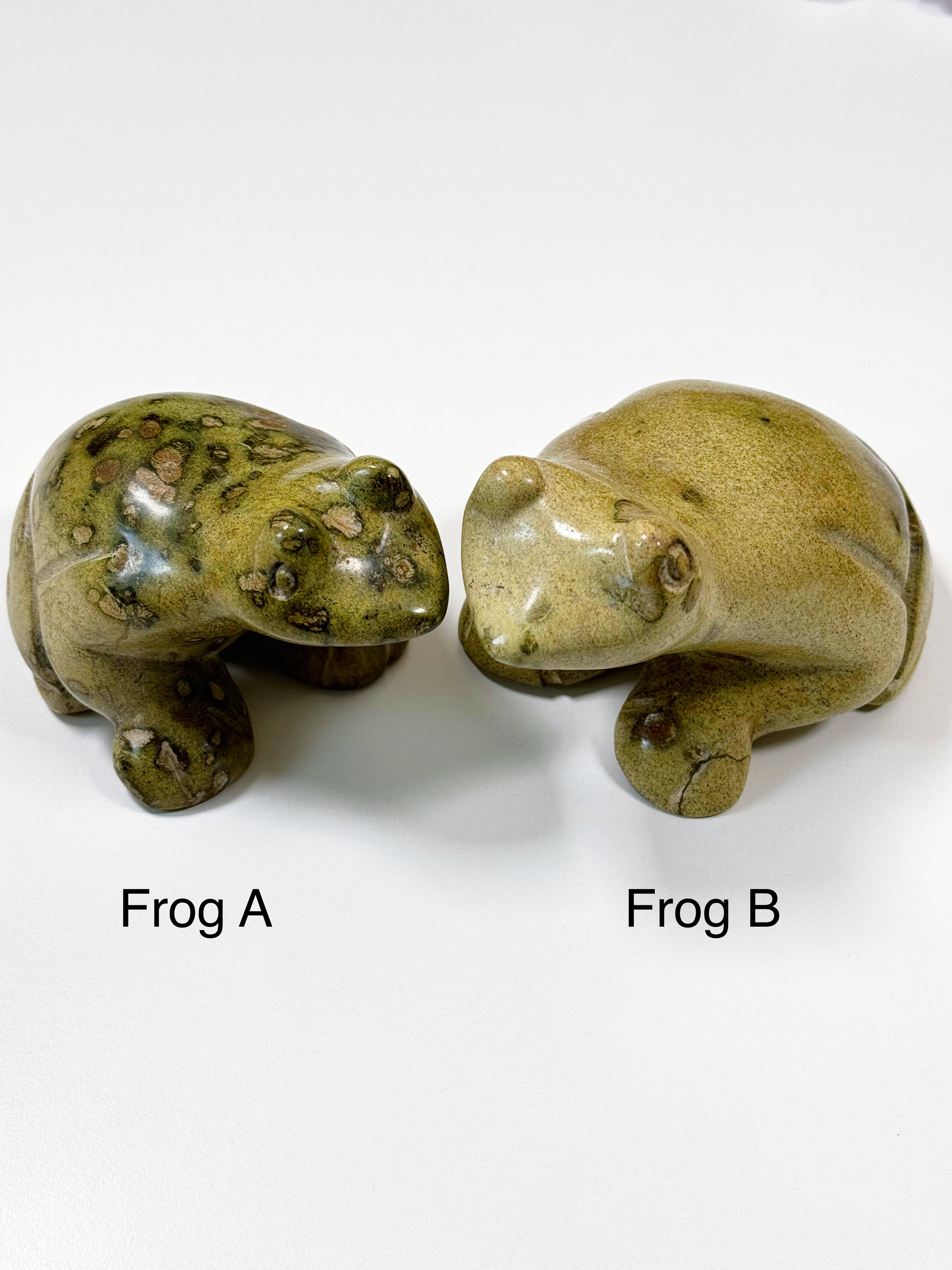 PICK YOUR OWN: ZIMBABWE JASPER X-LARGE FROG