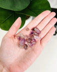 SHANGAAN AMETHYST BAGGIE (20g) - 33 bday, 444 sale, baggie, chips, crystal chips, emotional support, gridding, holiday sale, new year sale, shangaan amethyst - The Mineral Maven